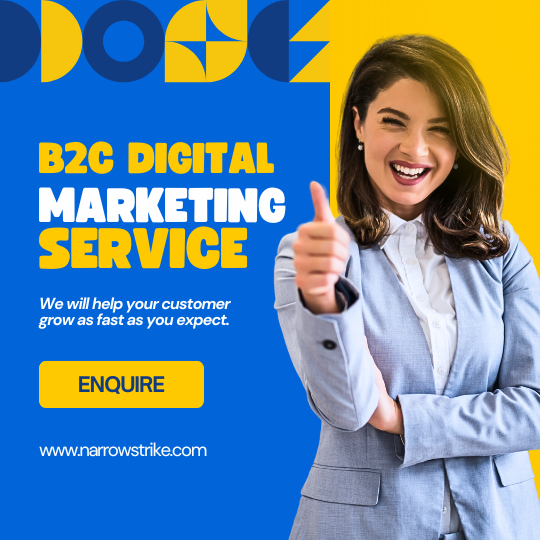 B2C-Digital-Marketing-Service